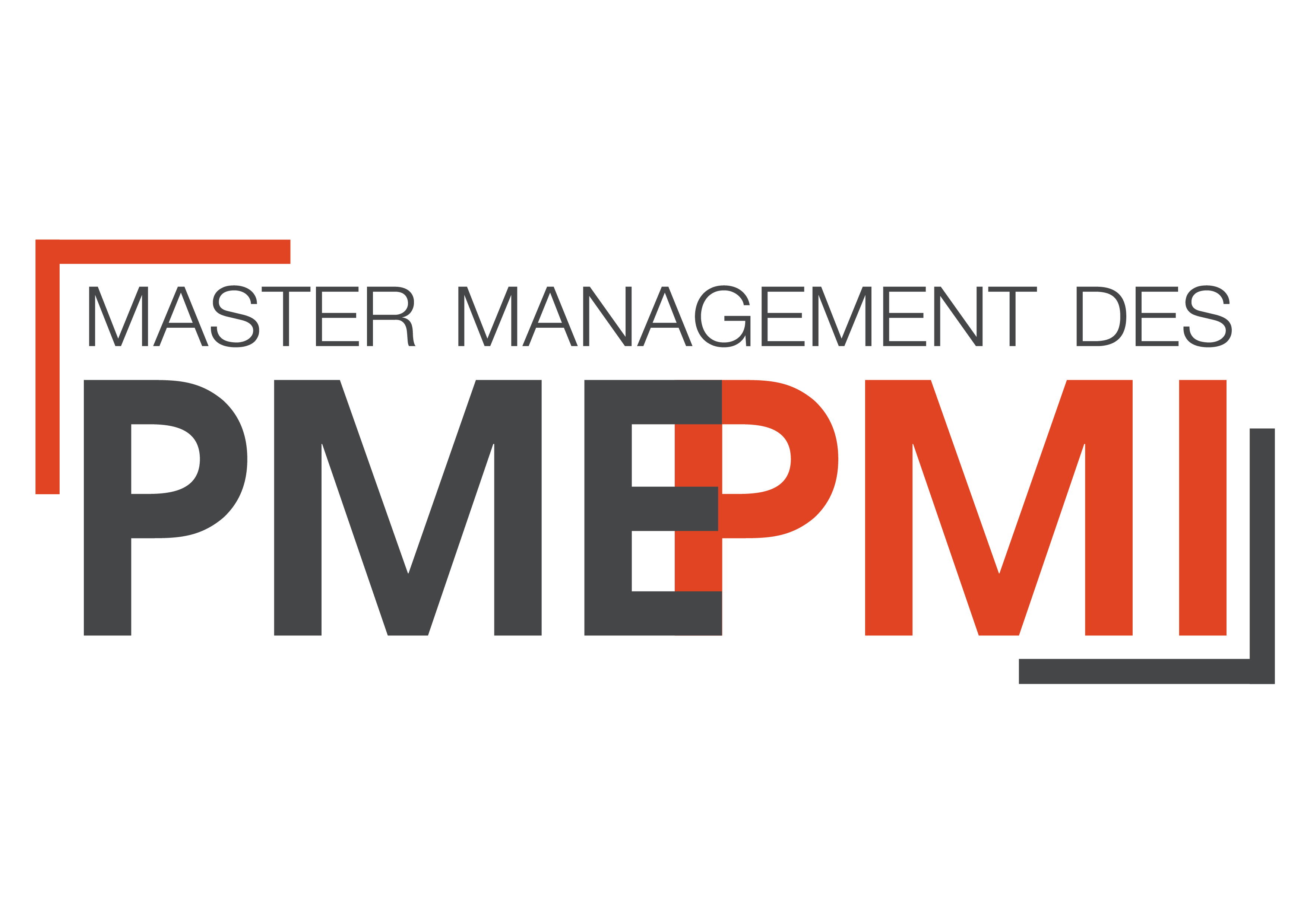 logo master pme pmi